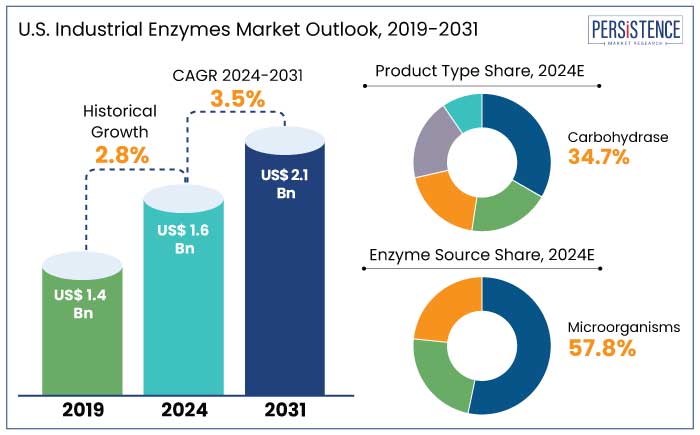 U.S. industrial enzymes market outlook, 2019-2031