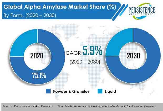 Alpha Amylase Market