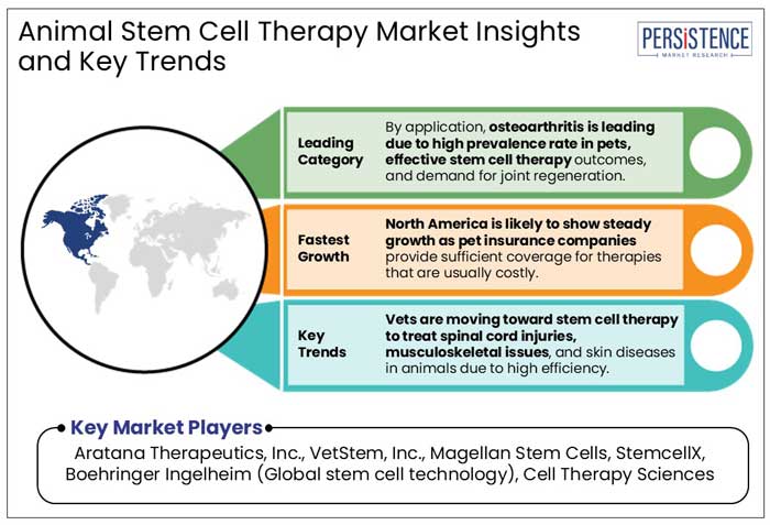 animal stem cell therapy market insights and key trends