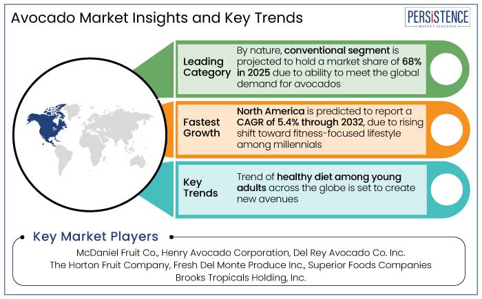 avocado market insights and key trends