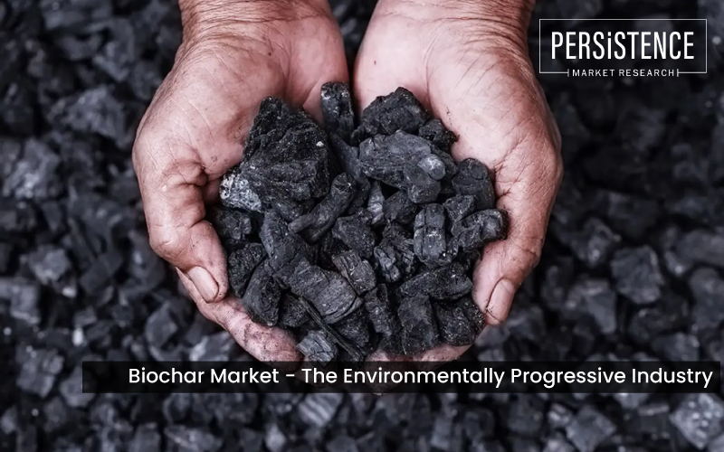 Biochar Market - The Environmentally Progressive Industry