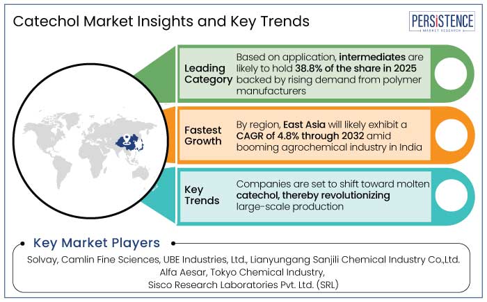 catechol market insights and key trends