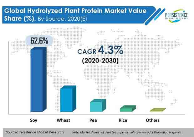 hydrolyzed plant protein market