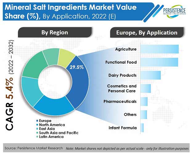 mineral salt ingredients market