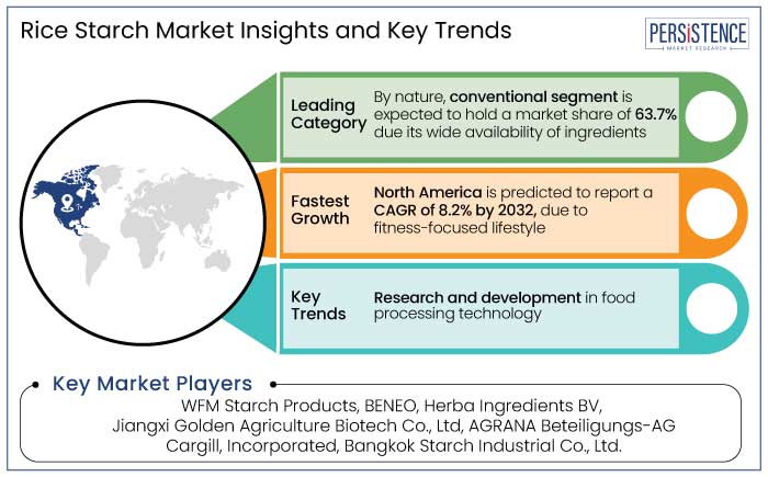 rice starch market insights and key trends