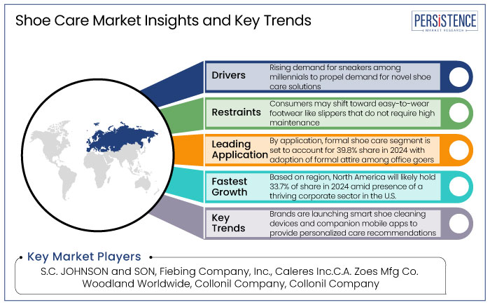 shoe care market insights and key trends