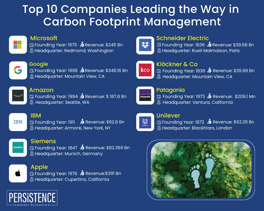 Top 10 Companies Leading the Way in Carbon Footprint Management