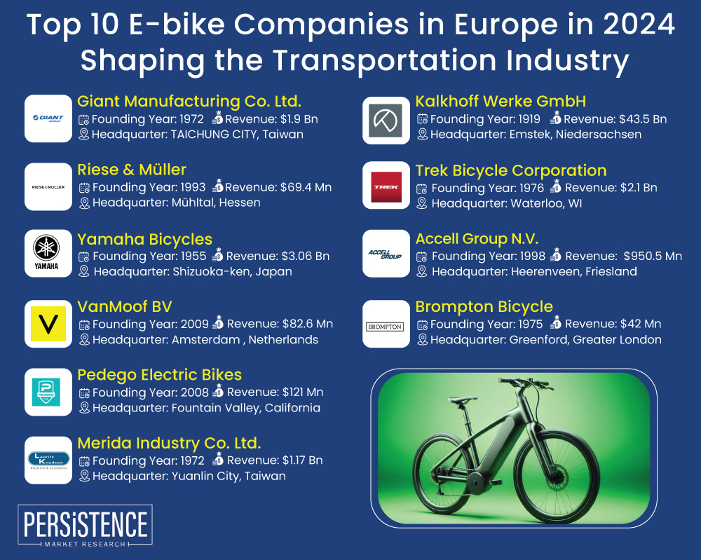 Top 10 E-bike Companies in Europe in 2024 Shaping the Transportation Industry